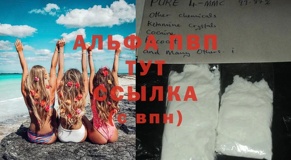 трава Елизово