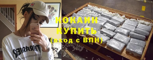 трава Елизово