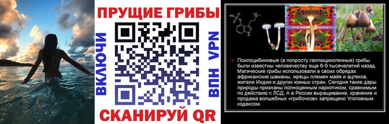 Псилоцибиновые грибы MAGIC MUSHROOMS  Купить где  Чапаевск 