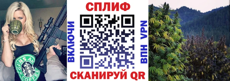Канабис MAZAR  Купить закладки  Чапаевск 